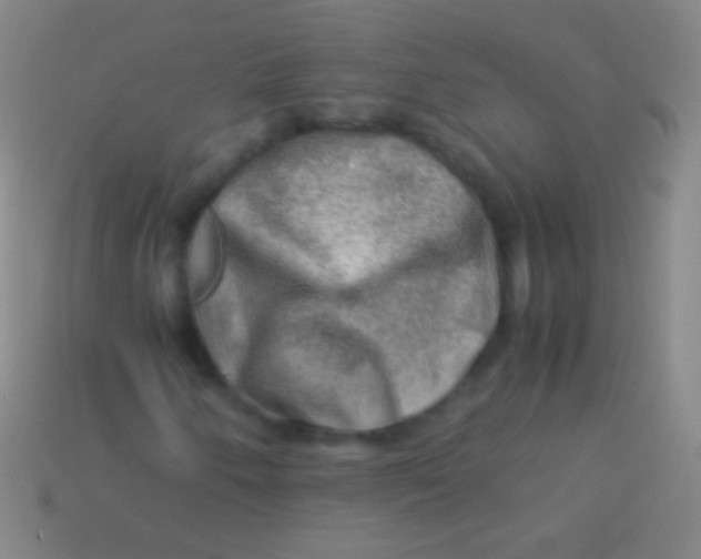 X0000113591250200910161835
