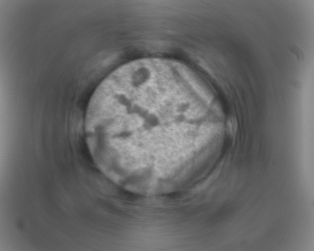 X0000113591251200910161835