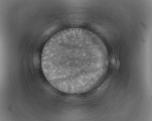 X0000113591252200910161835