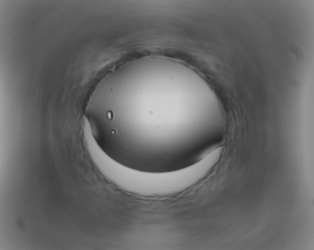 X0000113591253200910161835