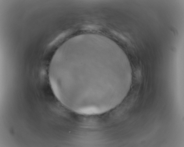 X0000113591254200910161835