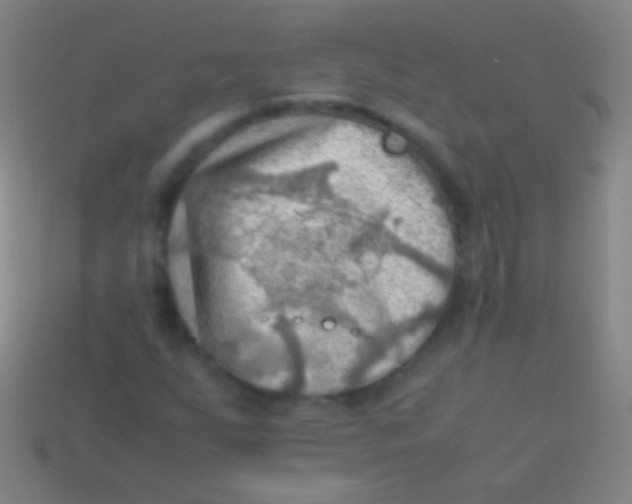 X0000113591255200910161835