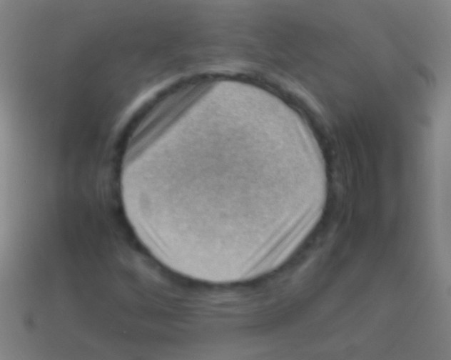 X0000113591256200910161835