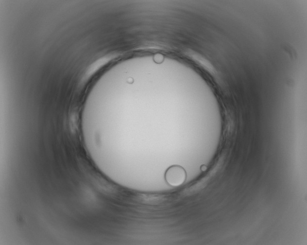 X0000113591258200910161835