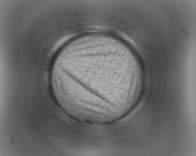 X0000113591259200910161835
