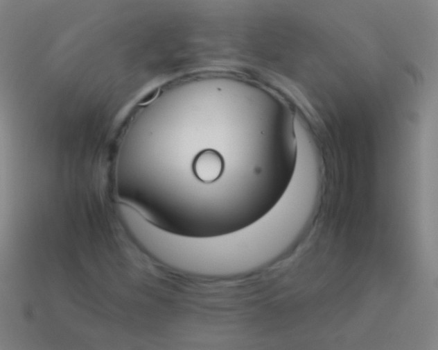 X0000113591260200910161835