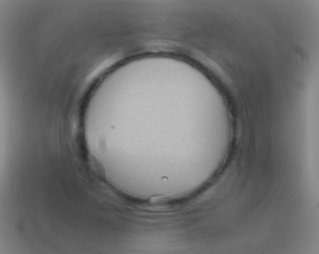 X0000113591261200910161835