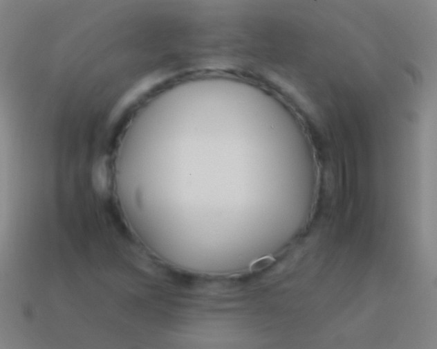 X0000113591262200910161835