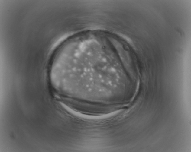 X0000113591263200910161835