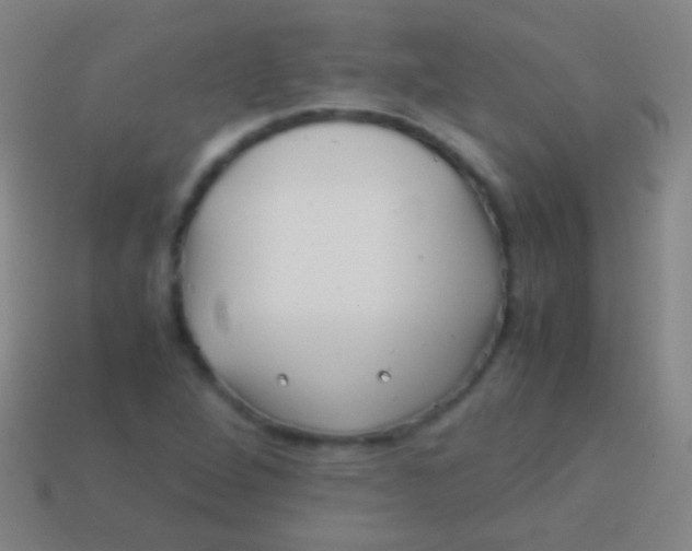 X0000113591264200910161835