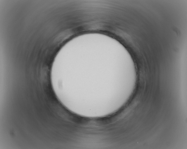 X0000113591265200910161835