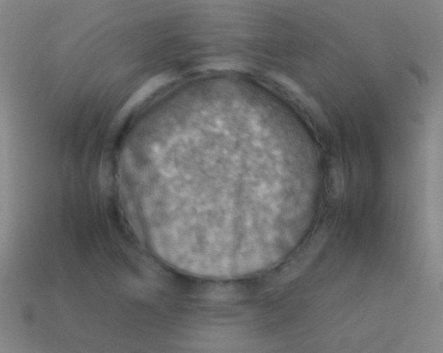 X0000113591266200910161835
