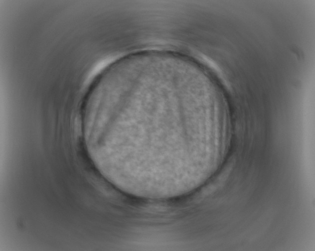X0000113591267200910161835