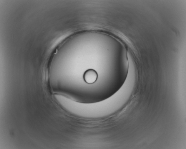 X0000113591269200910161835