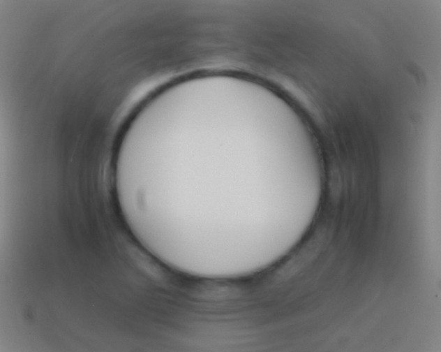 X0000113591270200910161835