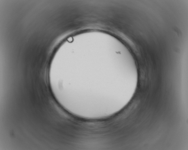 X0000113591272200910161835