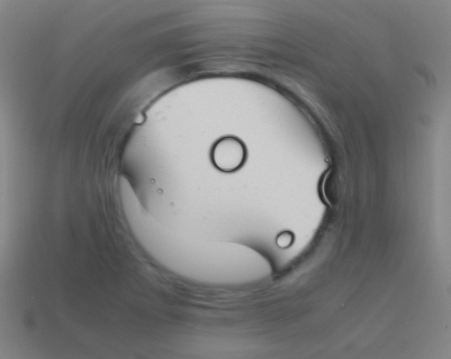 X0000113591273200910161835