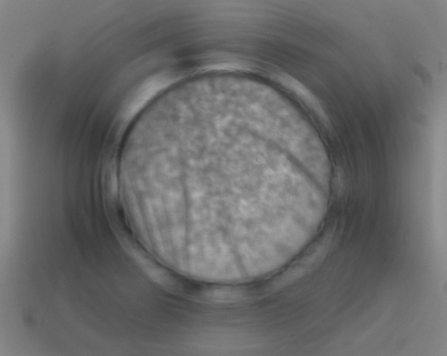 X0000113591274200910161835