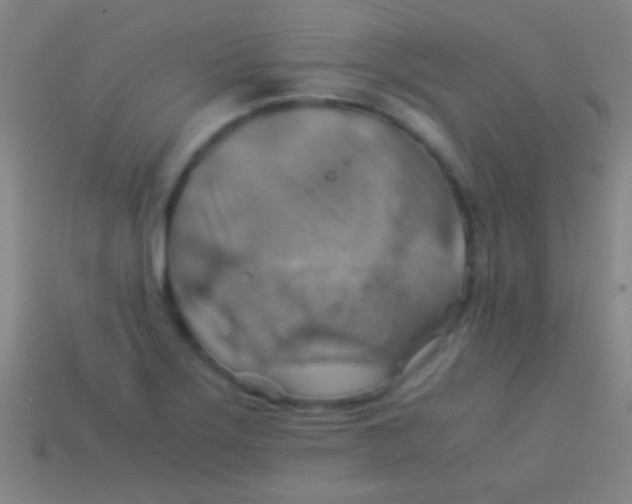 X0000113591275200910161835
