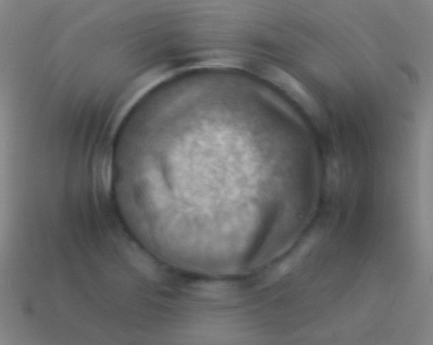 X0000113591276200910161835