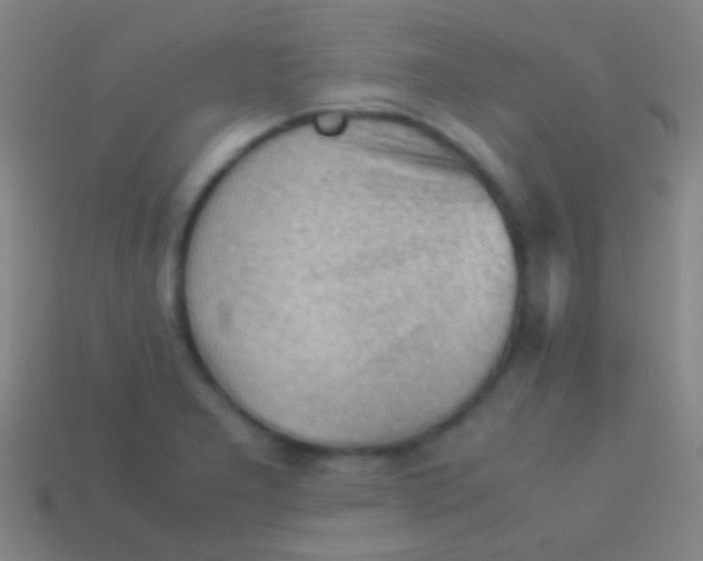 X0000113591277200910161835