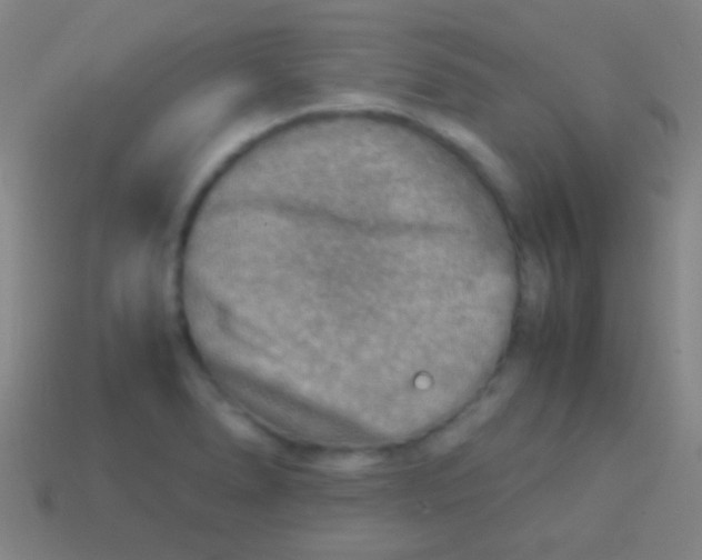 X0000113591278200910161835