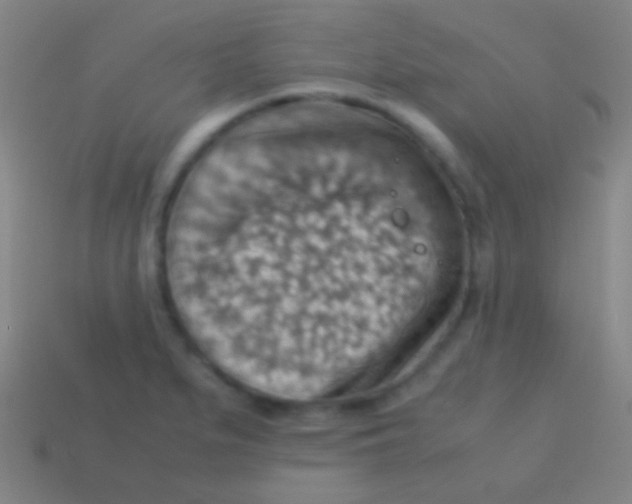 X0000113591279200910161835