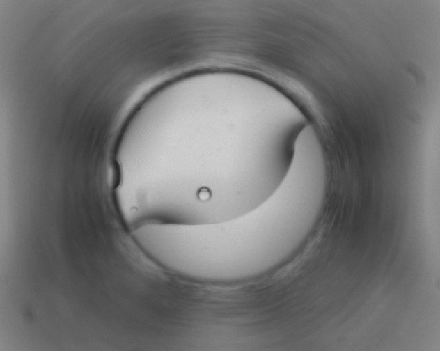 X0000113591280200910161835