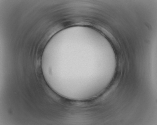 X0000113591281200910161835