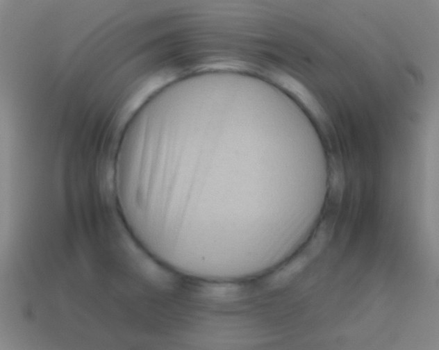 X0000113591282200910161835
