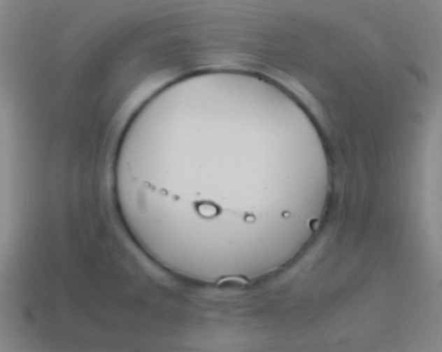 X0000113591285200910161835