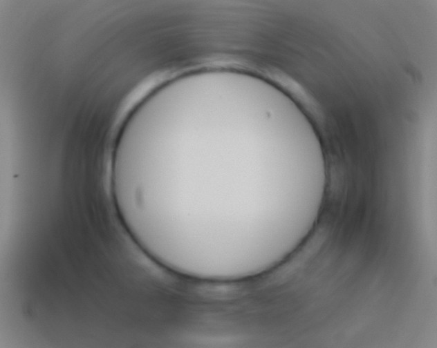 X0000113591286200910161835