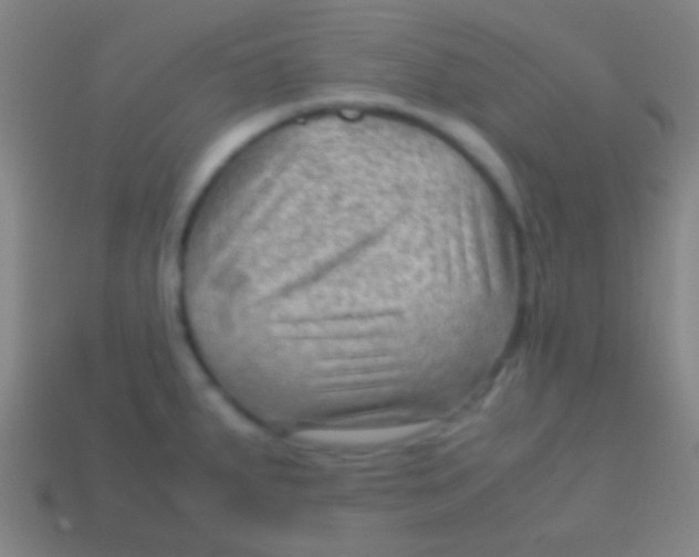 X0000113591287200910161835