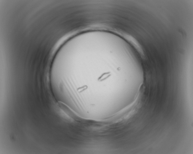 X0000113591288200910161835