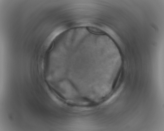 X0000113591289200910161835