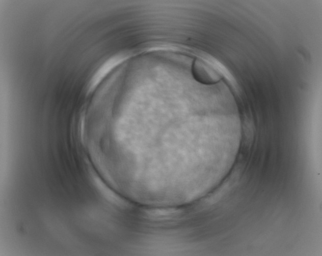 X0000113591290200910161834