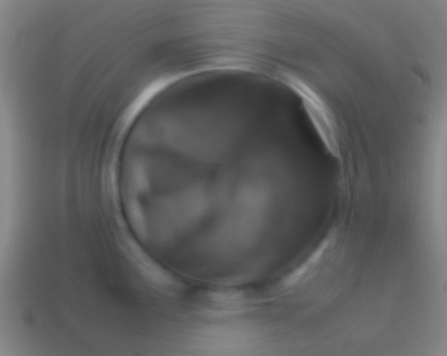 X0000113591291200910161834