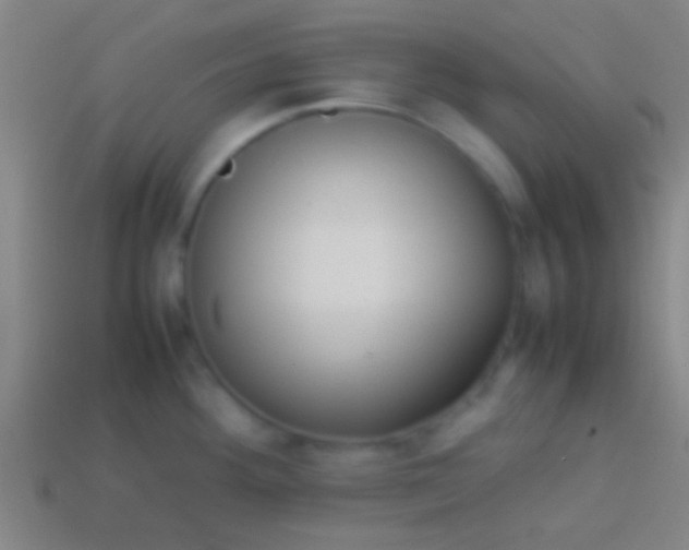 X0000113591292200910161834