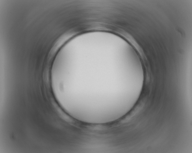 X0000113591293200910161834