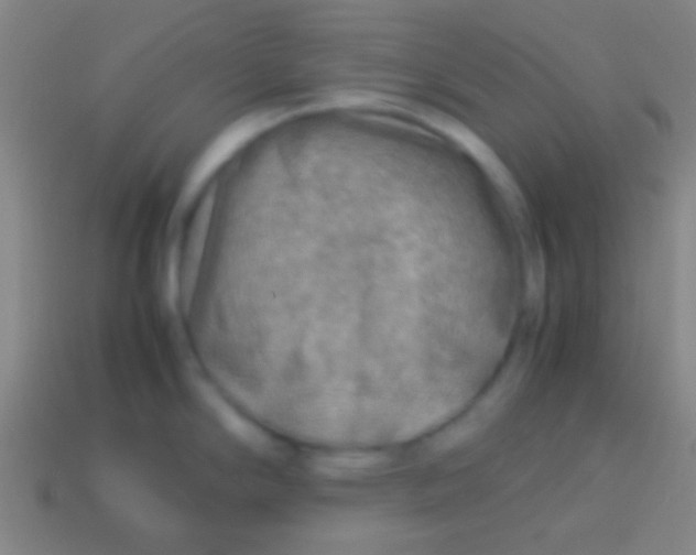 X0000113591294200910161834
