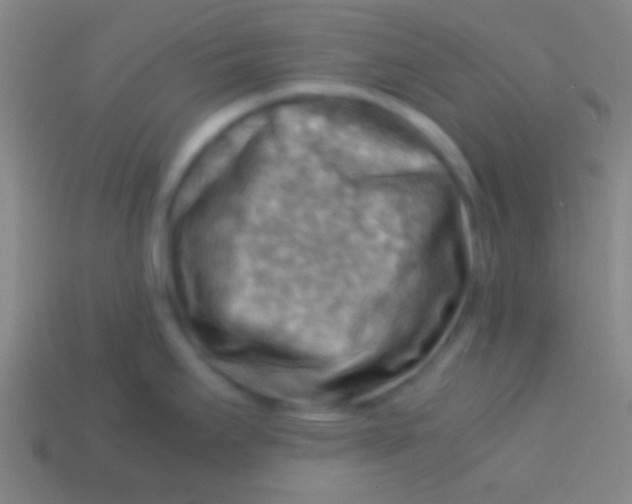 X0000113591295200910161834
