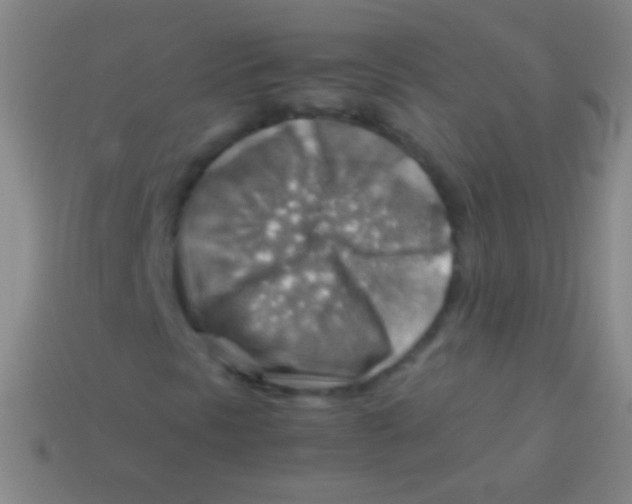 X0000113591297200910161834