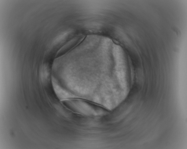 X0000113591298200910161834
