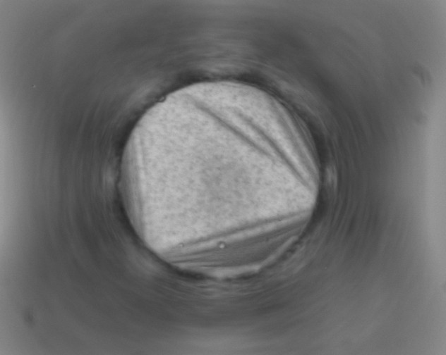 X0000113591300200910161834