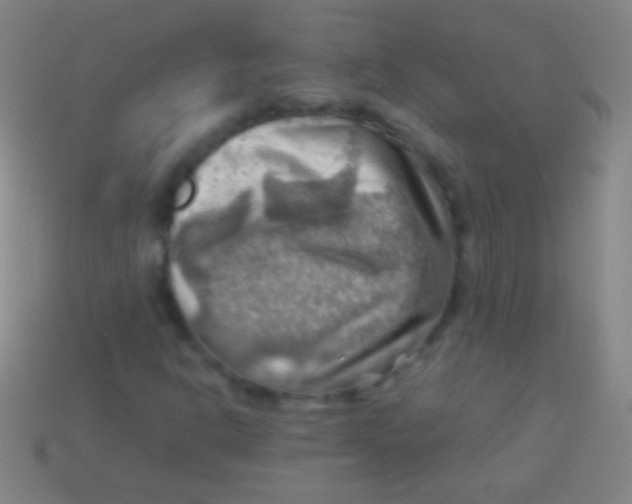 X0000113591302200910161834
