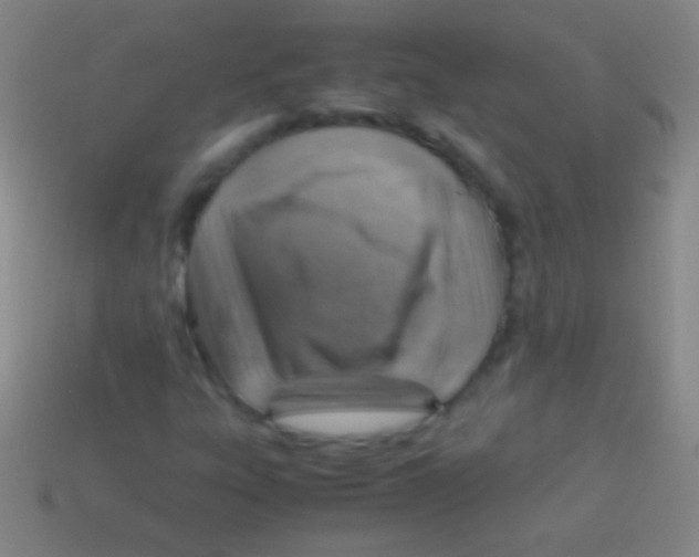 X0000113591303200910161834