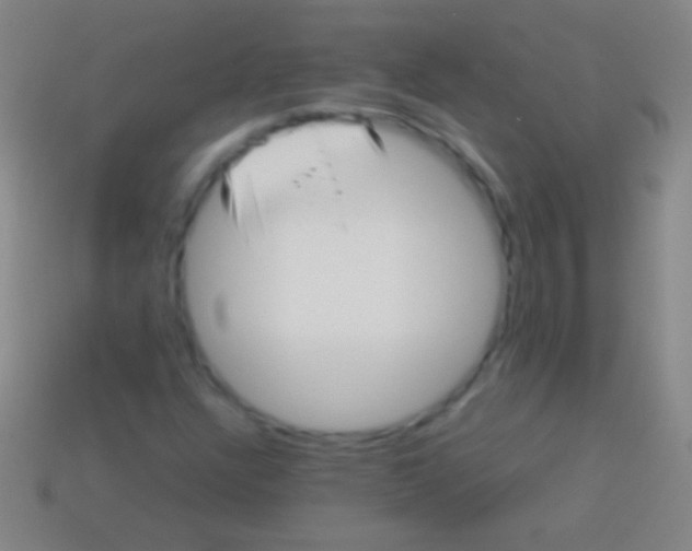 X0000113591304200910161834