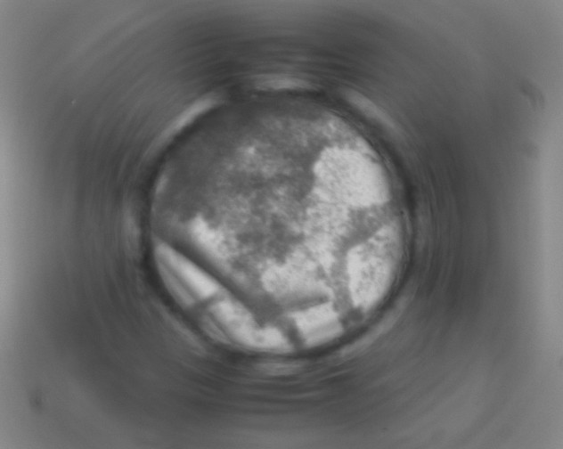 X0000113591305200910161834