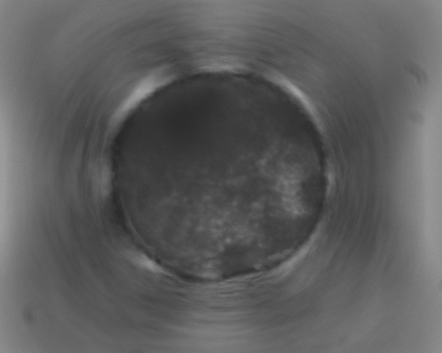 X0000113591306200910161834
