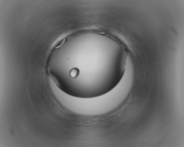 X0000113591308200910161834